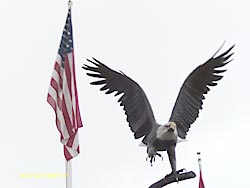 Veteran's Memorial